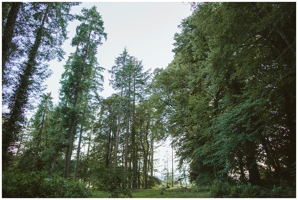 Irish Wedding Clonegal