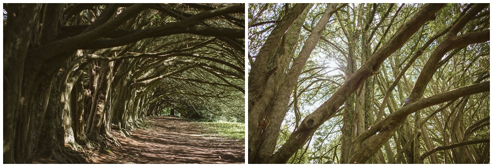Irish Wedding photographer